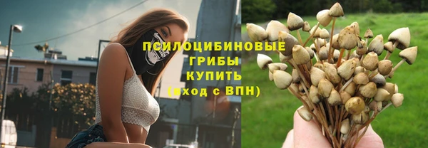скорость Белокуриха