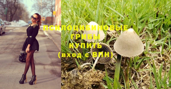 эйфоретик Беломорск