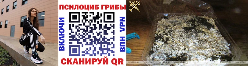Псилоцибиновые грибы Psilocybe  Пыть-Ях 